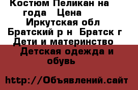 Костюм Пеликан на 3-4 года › Цена ­ 800 - Иркутская обл., Братский р-н, Братск г. Дети и материнство » Детская одежда и обувь   